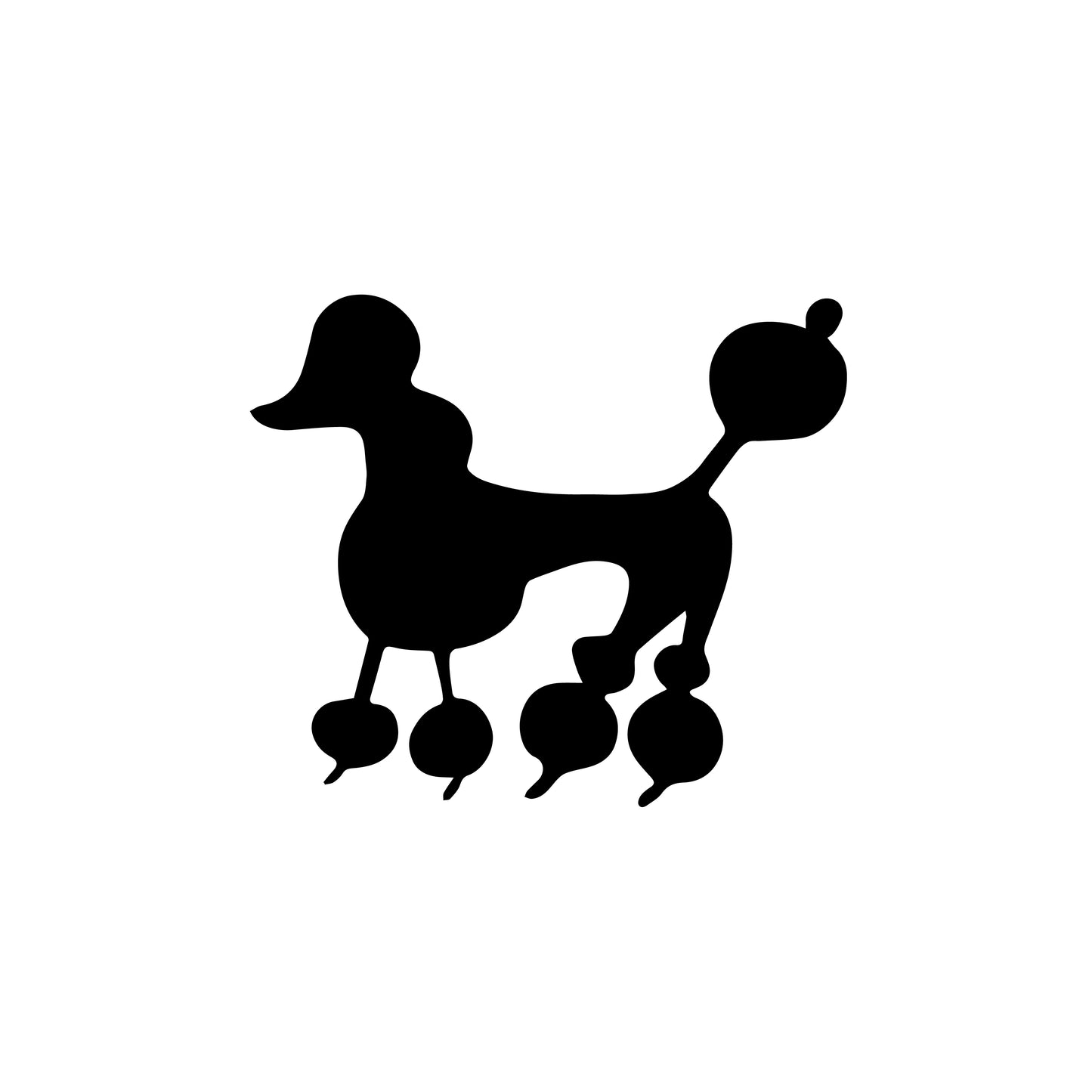 Glittertattoo stencil 'Poodle' | Superstar